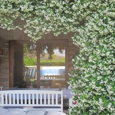 Ca Du Soleil * Uggiate